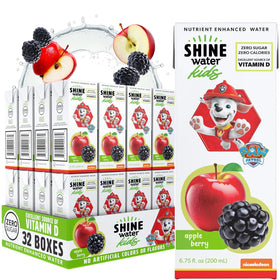 ShineWater Paw Patrol Apple Berry juice box front view for kids' hydration