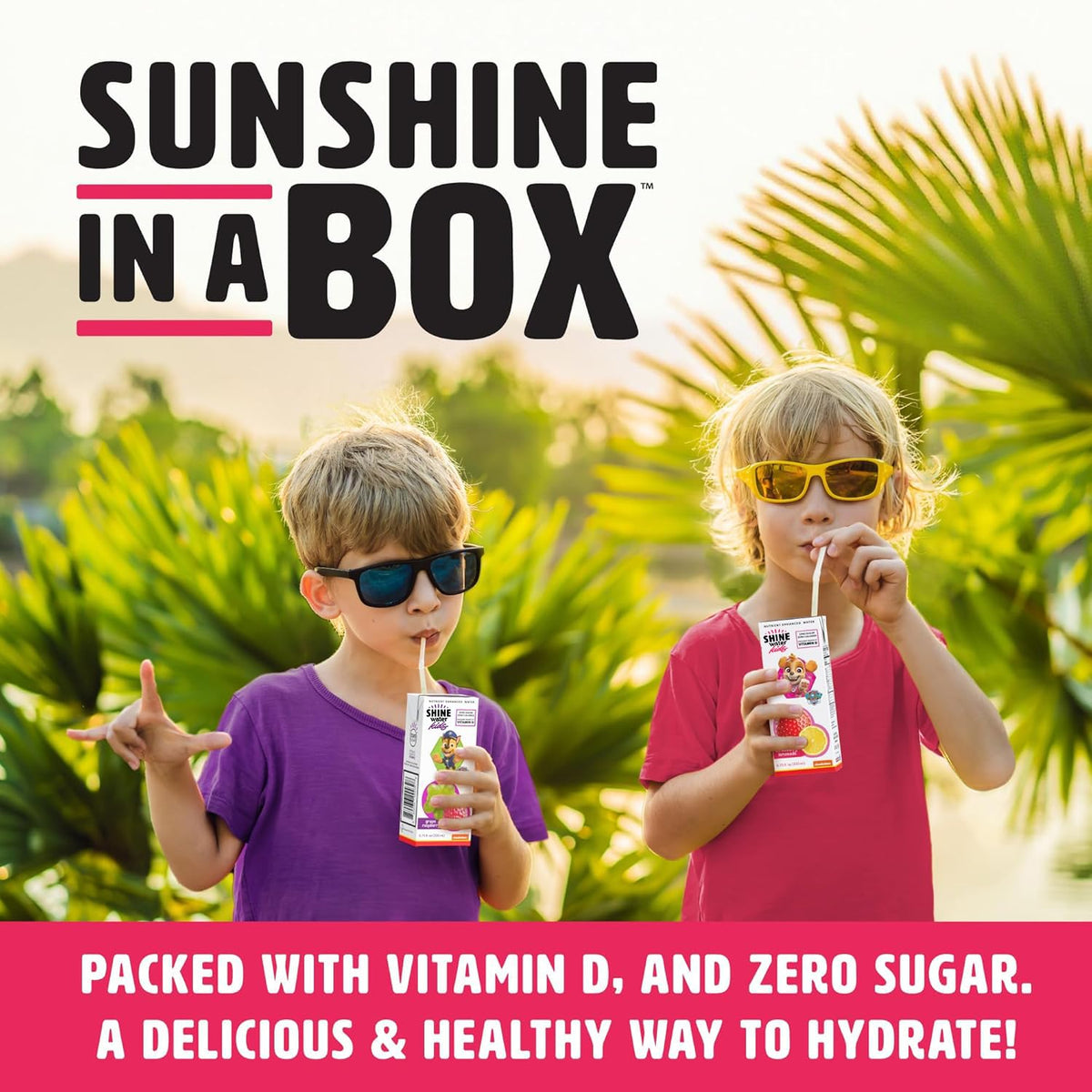 ShineWater Paw Patrol kid juice boxes are perfect for on-the-go hydration.
