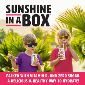 ShineWater Paw Patrol kid juice boxes are perfect for on-the-go hydration.