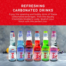 SHIRAKIKU BRAND Ramune label closeup shows vibrant packaging and premium glass bottle.