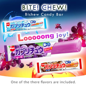 SHOGUN CANDY chocolate and gummies, sweet confection pair