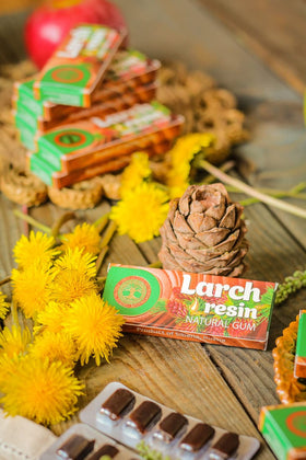 Siberian Treasure Larch Resin 1-gram gum piece offers precise portion control