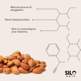 SILO Nuts organic bitter apricot kernels in bowl for versatile cooking