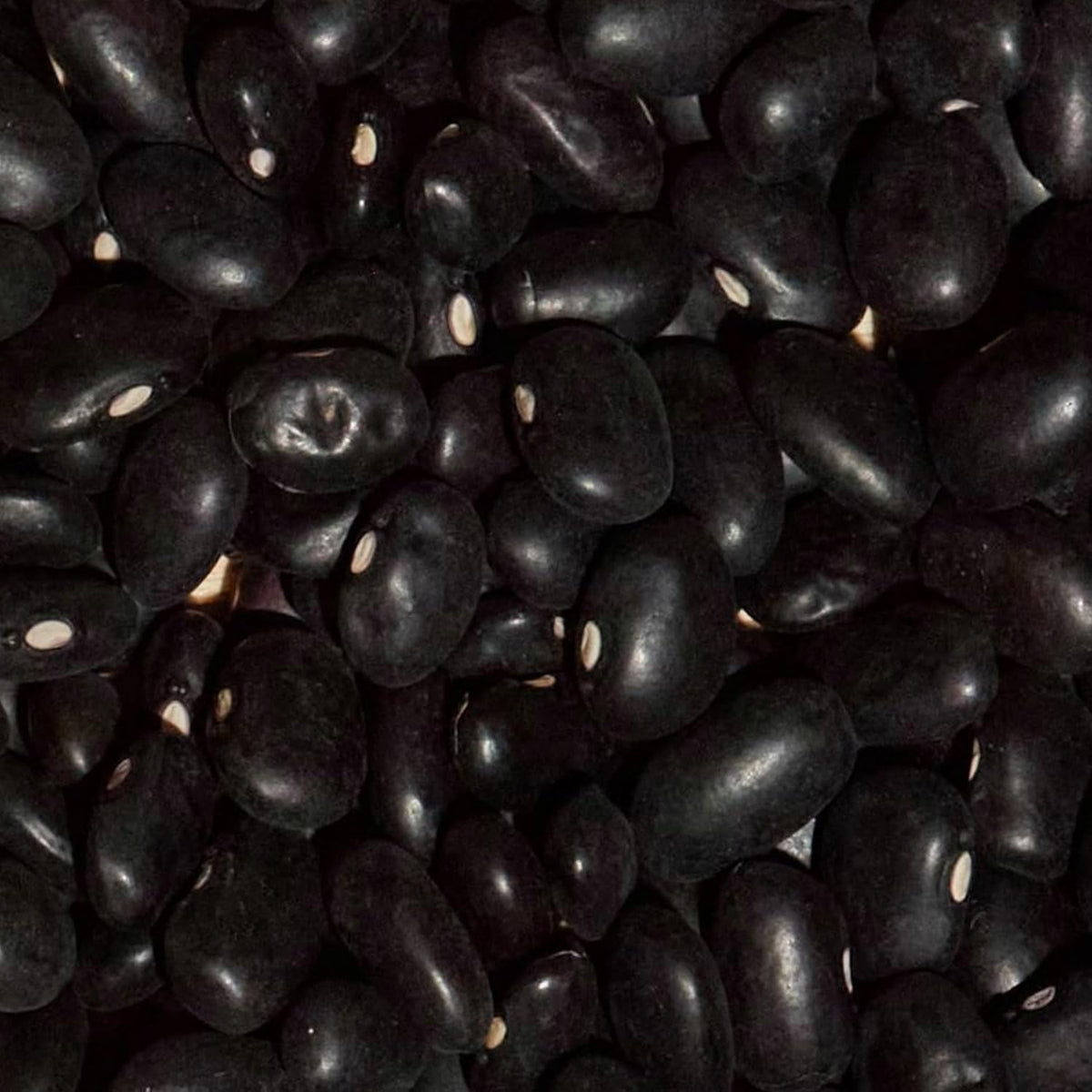 Dry bulk SIMPLi black beans ready for meal prep