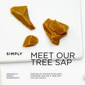 SIMPLY Gum dentist-recommended label suggests trusted, clean chewing experience.