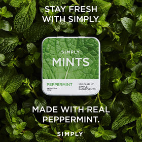 Simply Gum durable metal tin closeup demonstrates compact carry-on friendly packaging