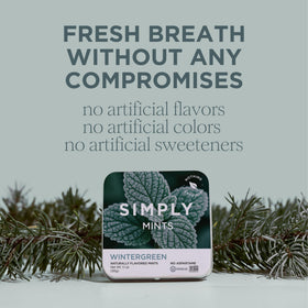 Simply Gum SIMPLY MINTS Wintergreen detail showing natural oil aroma.