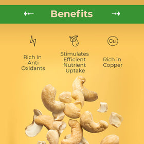 Sincerely Nuts cashews bulk 5lb pack on shelf, excellent value for home cooking and bulk gifting.
