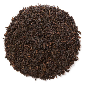 Singell Tea Farm origin shots highlight ethical farming and authentic Darjeeling flavor.