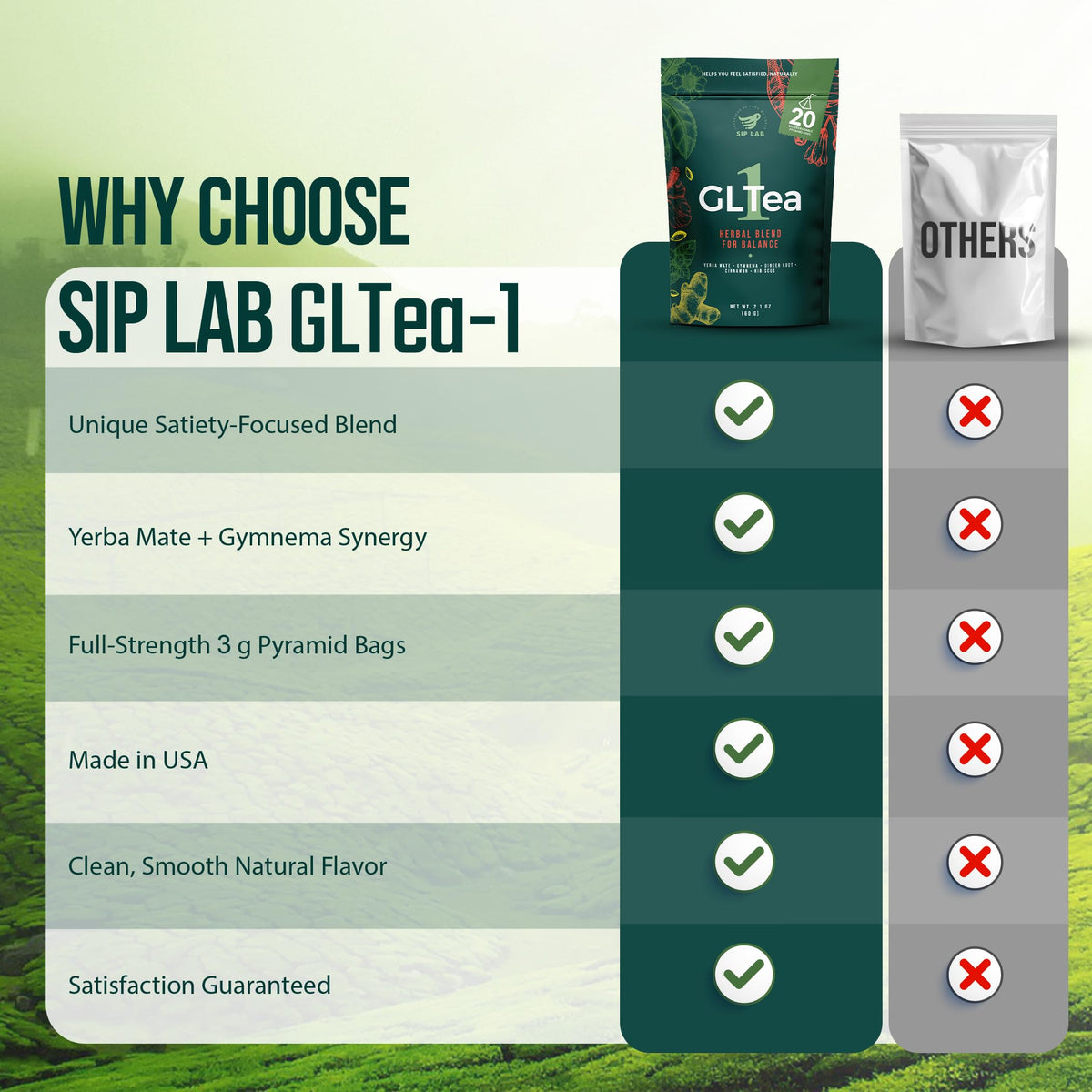Sip Lab GLTEA-1 ginger and cinnamon create a vibrant, uplifting spice profile.