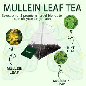 SIRDIKA Mullein Tea Bags close-up leaves highlighting earthy herbal notes for calm moments.