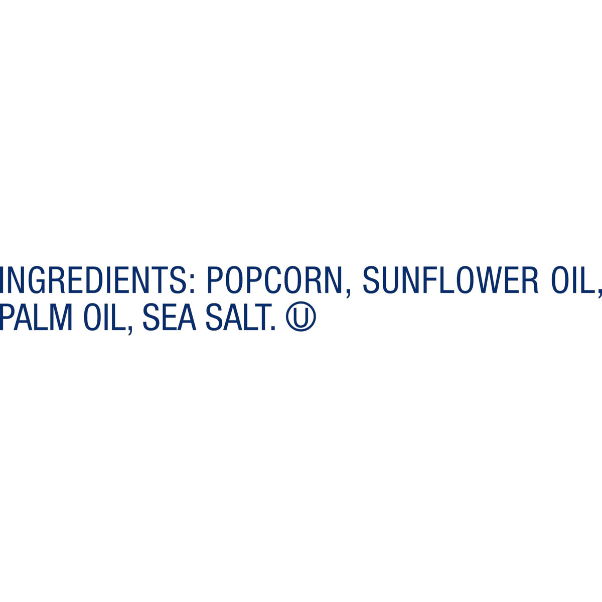 SkinnyPop Sea Salt popcorn on a family snack table.