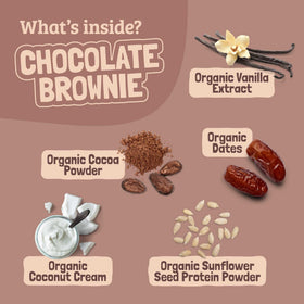 Skout Chocolate Brownie Bars kid snack in lunchbox for school.