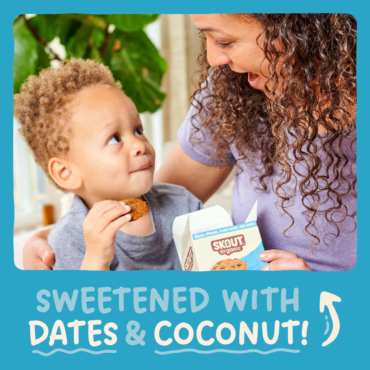 Skout organic soft baked cookies three pack - convenient snacks for busy days.