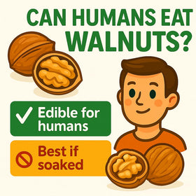 Sky Ecommerce Raw walnuts in shell, human-grade and batch-produced in California.
