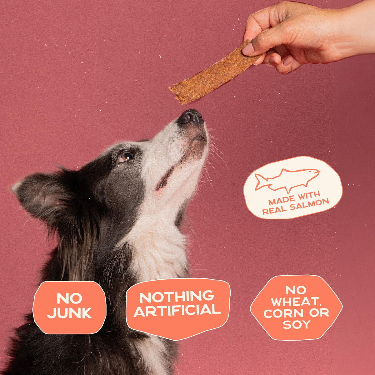Smart Cookie Puppy-friendly jerky image suggesting allergy-friendly rewards.