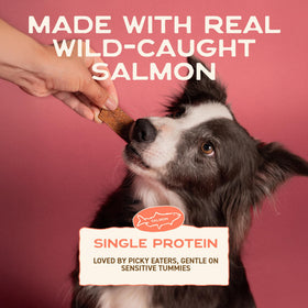 Smart Cookie Salmon Jerky strips closeup highlighting chewy texture.
