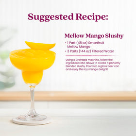 Measuring spoon beside Smartfruit Purée illustrating simple serving sizes.