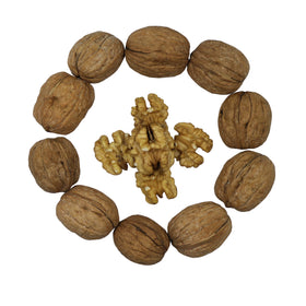Smarty Stop raw walnuts in shell ready for crack-and-use in baking
