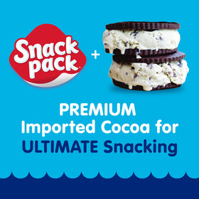 Snack Pack Ice Cream Sandwich Pudding Cups gluten-free label signals kid-friendly snack.