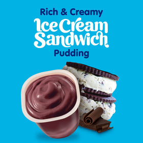 Snack Pack Ice Cream Sandwich Pudding Cups serving cup shows creamy texture.