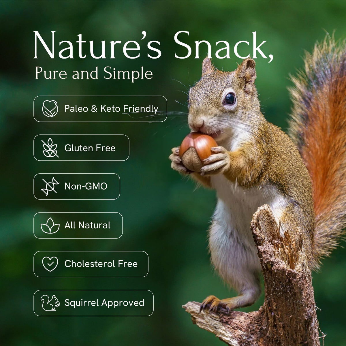 Snackathon hazelnuts raw unsalted close-up highlighting pure flavor for baking