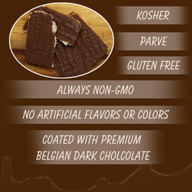 SNACKTERY dark chocolate rice cakes closeup-coating highlights rich flavor