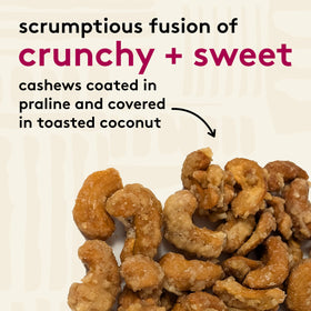 Snak Club Coconutty Cashews in a kettle-cooked, gourmet snack texture.