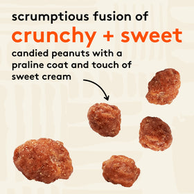 Snak Club Toffee Peanuts praline-coated peanuts displayed for tasting.