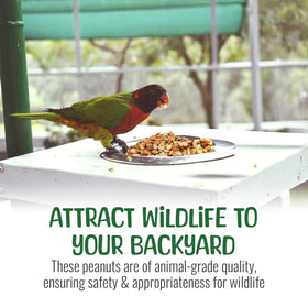 Sneaky Mango US-grown peanuts ensure freshness for backyard wildlife visits
