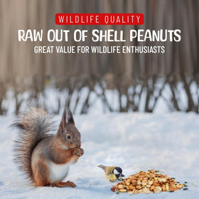 Sneaky Mango feeder-ready peanuts invite wildlife to a dedicated station