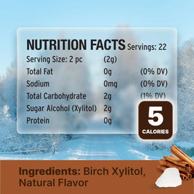 SNØ Cinnamon Xylitol Candy Chips crisp bite close-up