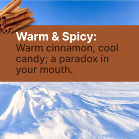 SNØ Cinnamon Xylitol Candy Chips ingredients list