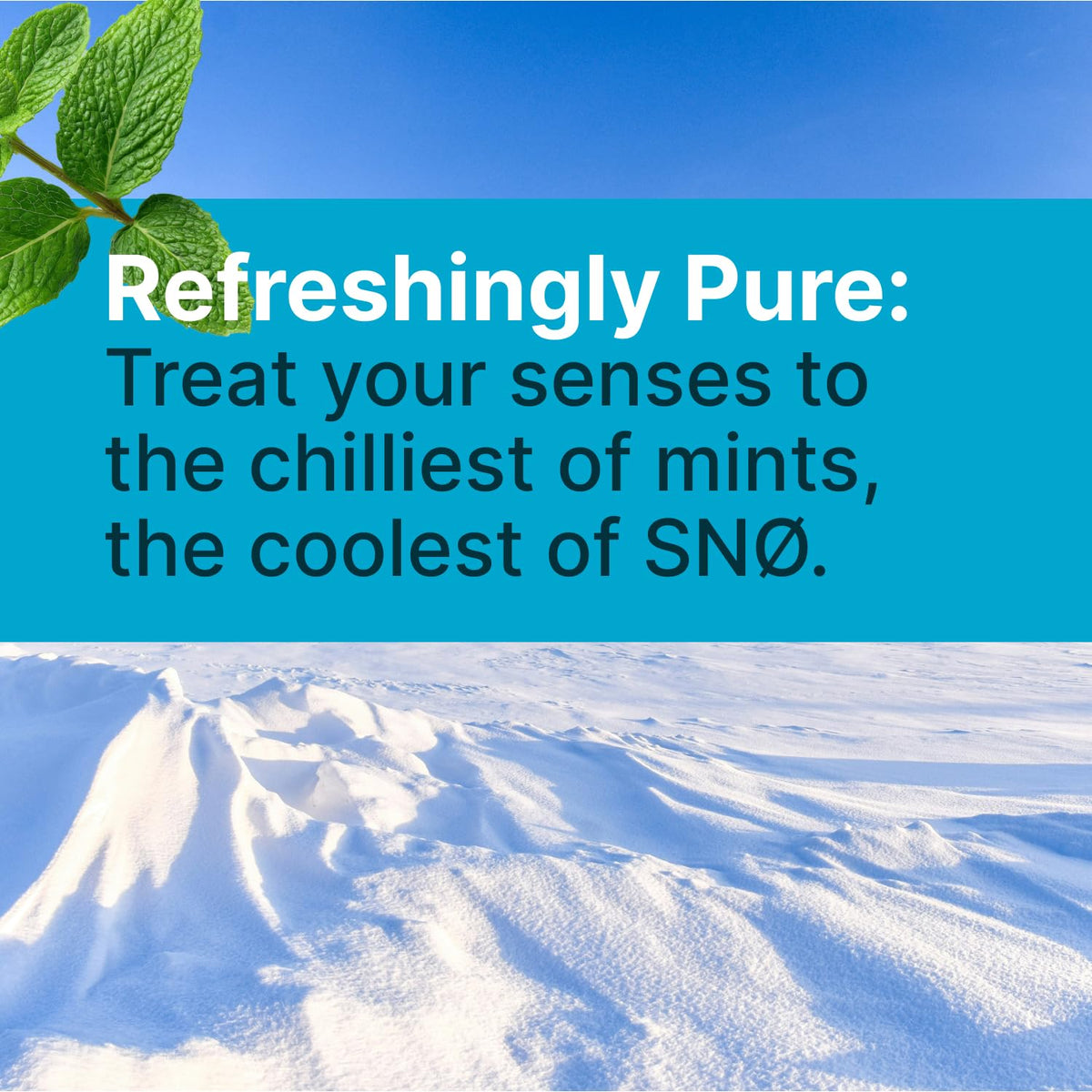 SNØ peppermint xylitol candy chips closeup crystal texture emphasizes clean crunch and refreshing aftertaste.
