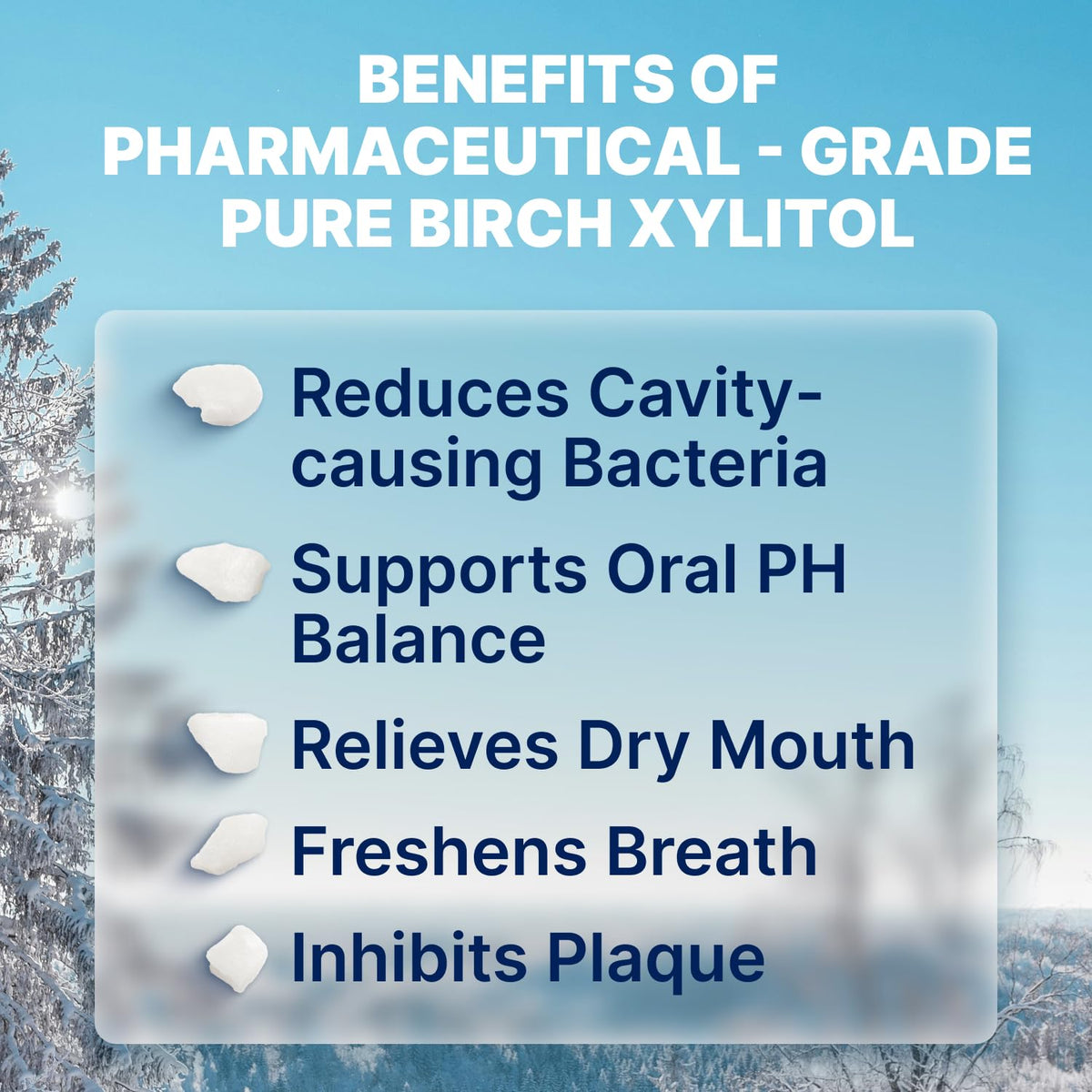 SNØ two-clean-ingredients-visual highlights birch xylitol and natural flavoring.