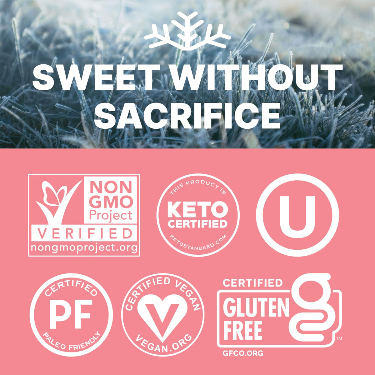 Serving suggestion of SNØ Watermelon Xylitol Candy Chips