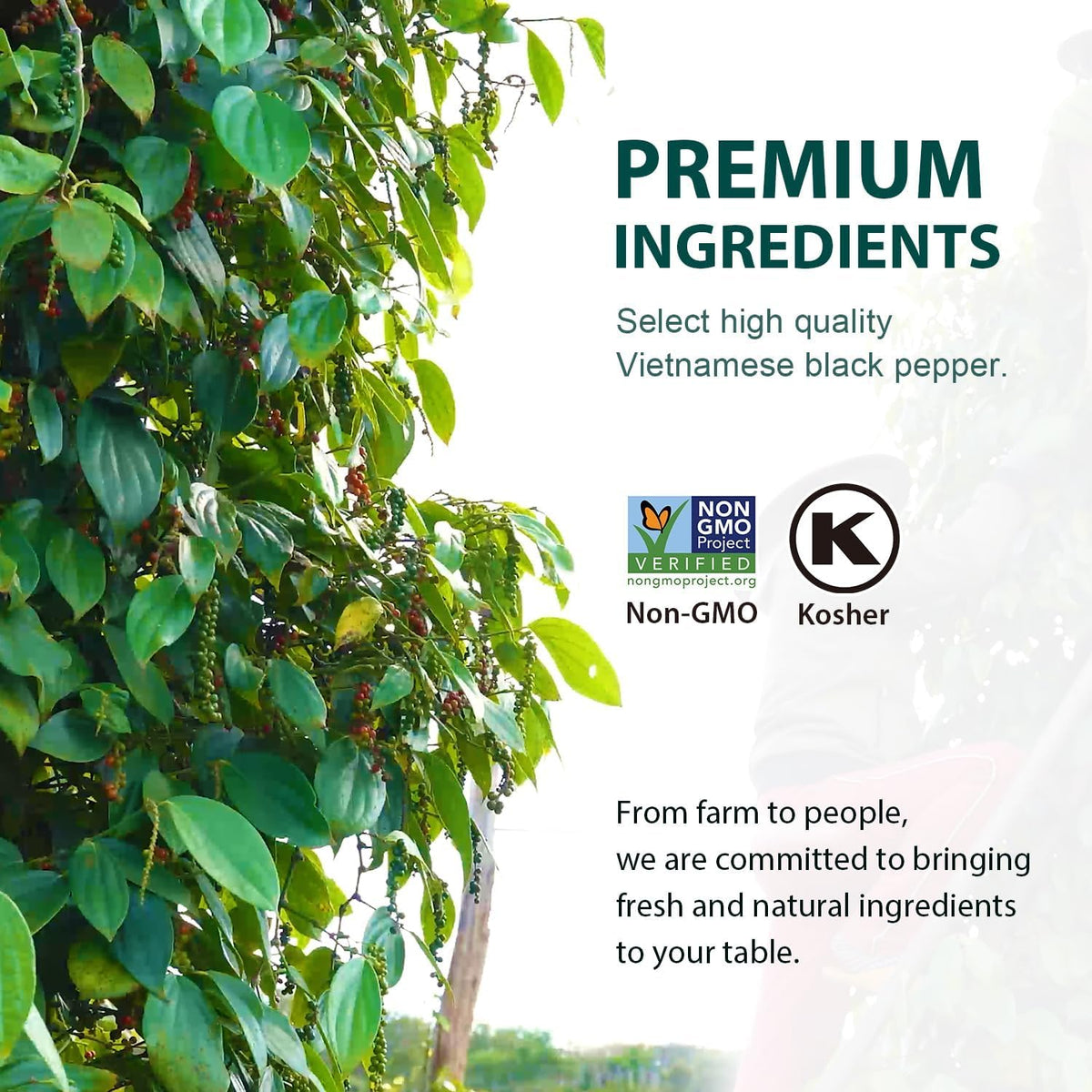 Soeos pepper bags sealed to preserve freshness and flavor.