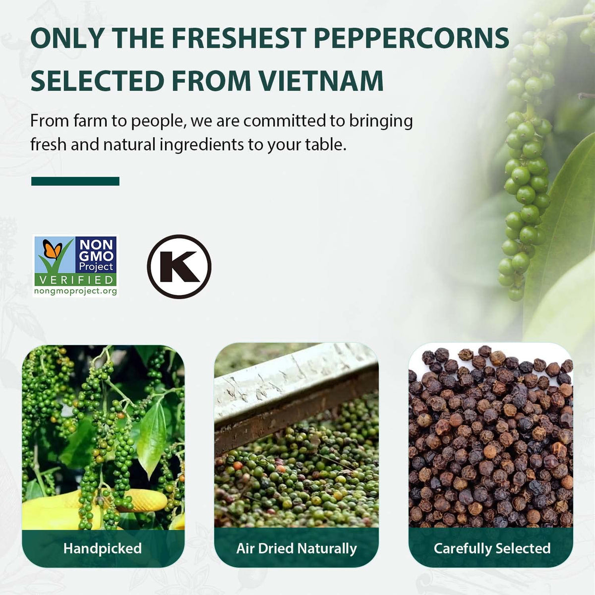 Soeos Black Peppercorns pack of 2 x 18oz for value