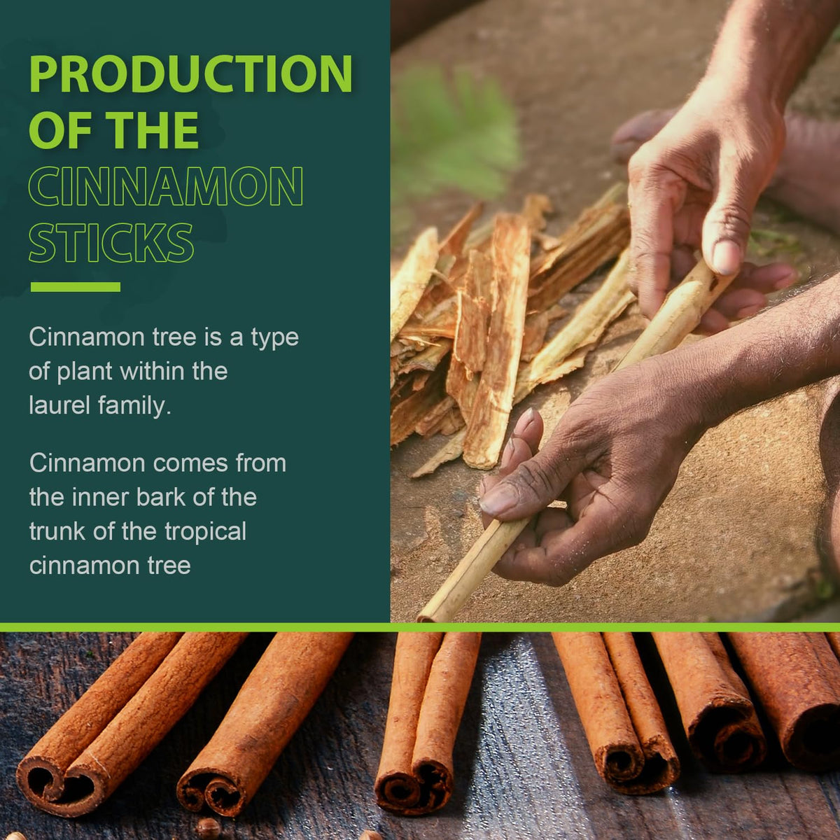 Soeos Cinnamon Sticks are premium quality and hand-selected for consistency.