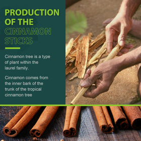 Soeos Cinnamon Sticks are premium quality and hand-selected for consistency.