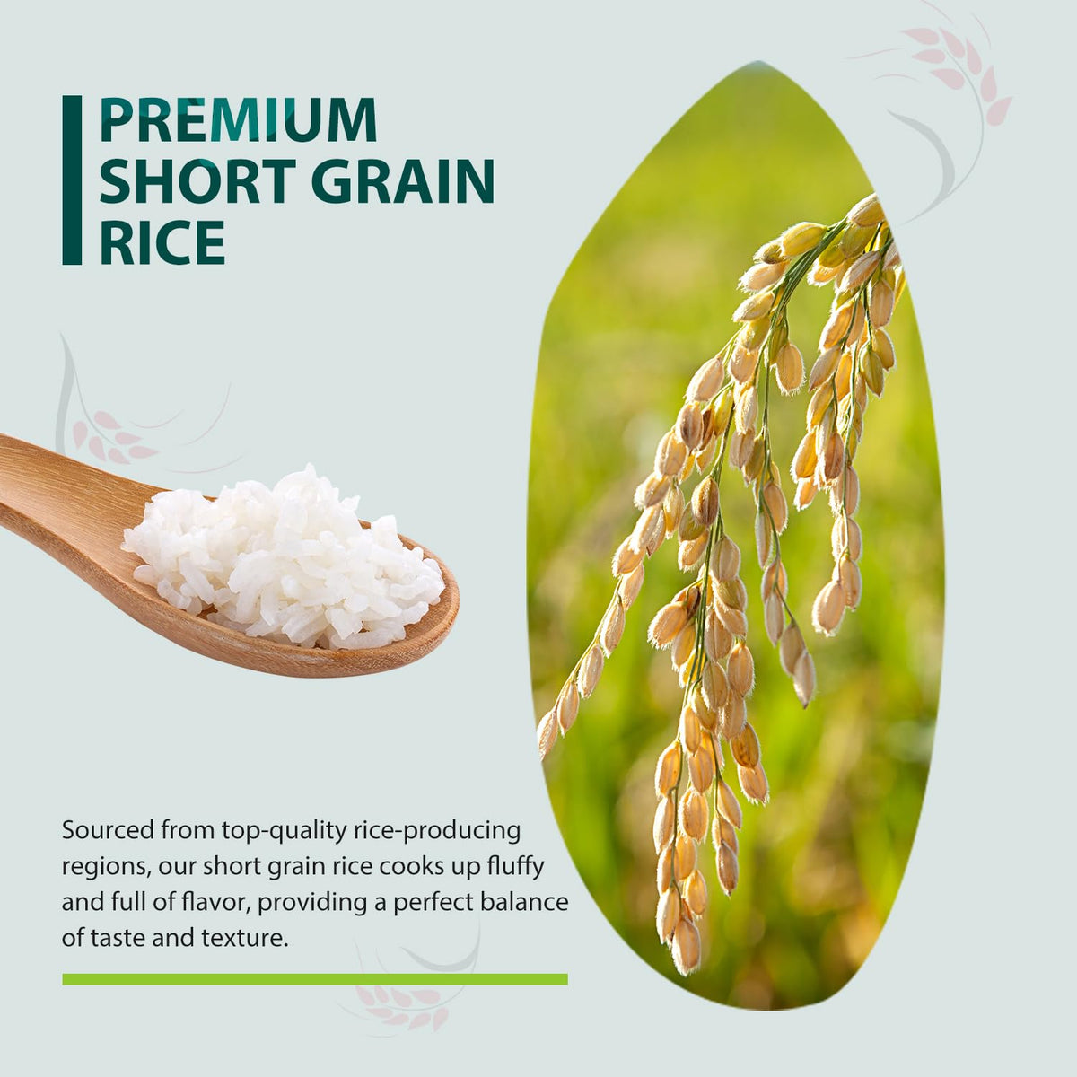 Close-up of gluten-free and non-GMO labels on Soeos Japonica packaging