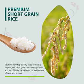 Close-up of gluten-free and non-GMO labels on Soeos Japonica packaging