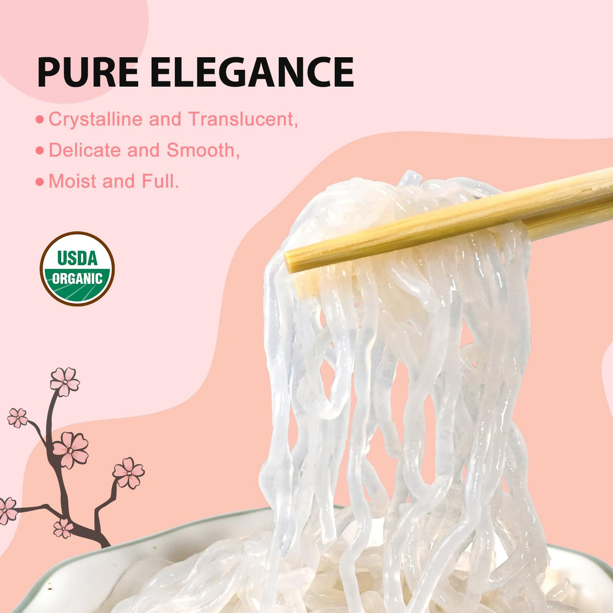 Soeos Konjac Noodles packaging showcases its premium konjac formula