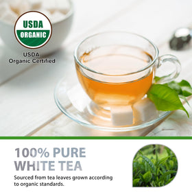 Soeos Organic White Tea display emphasizes natural, certified organic quality.