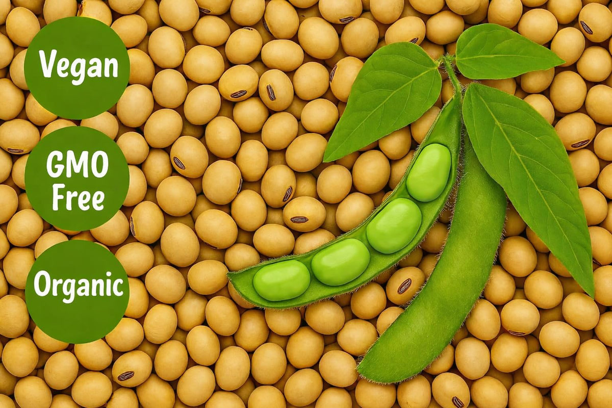 SOYFUL dried soybeans ideal for tofu and soy milk.