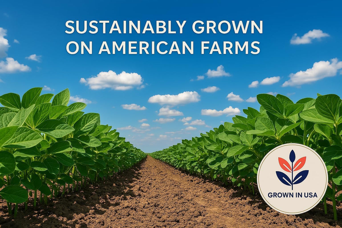 SOYFUL USA-grown soybeans ready for bulk culinary projects.