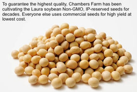 SoyaJoy Laura Soybeans best-use-ready for soymilk, tofu or tempeh in home kitchen