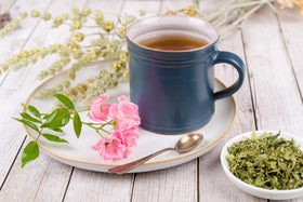 Blue Vervain used in meditation rituals for focus and mindful practice.