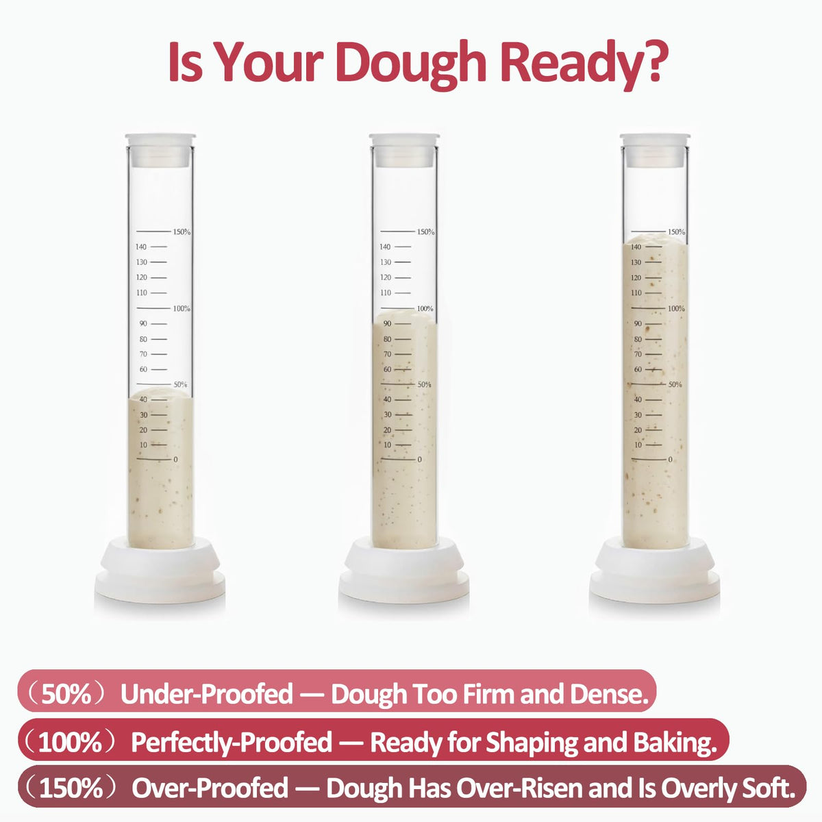Solrify silicone base provides stable placement during dough monitoring.