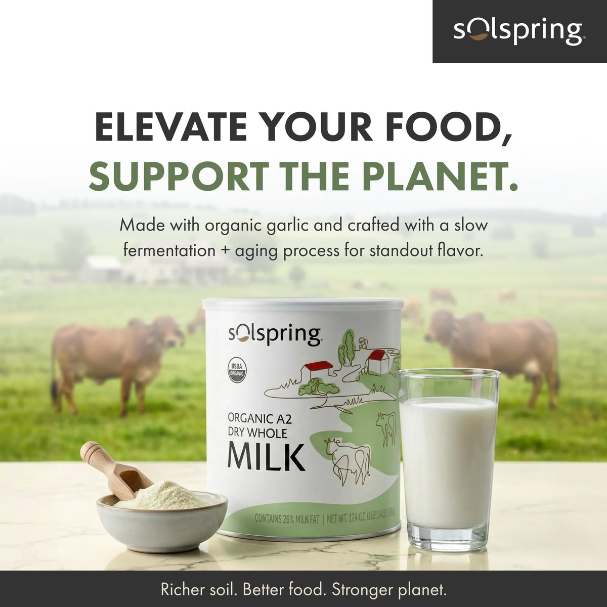 Solspring A2 Dry Milk over oats breakfast bowl